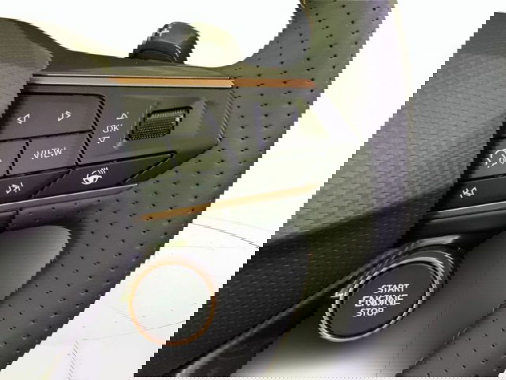 Cupra Terramar nuova a Vicenza (10)