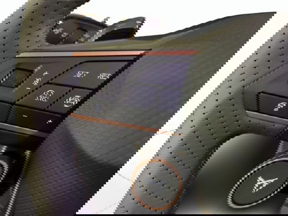 Cupra Terramar nuova a Vicenza (11)