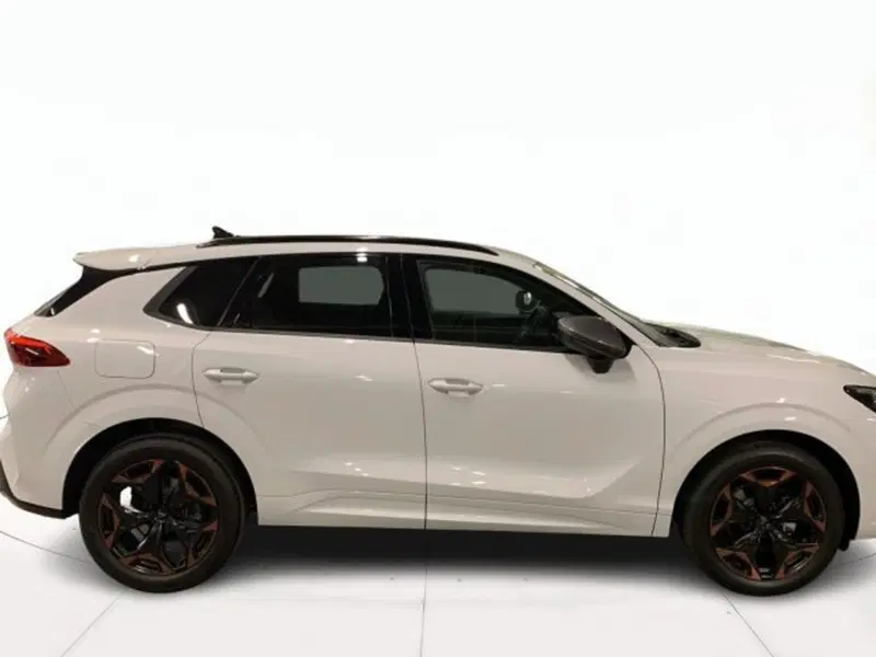 Cupra Terramar nuova a Vicenza (3)