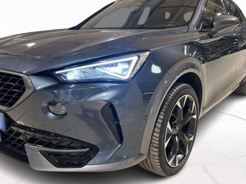 Cupra Formentor usata a Vicenza (15)