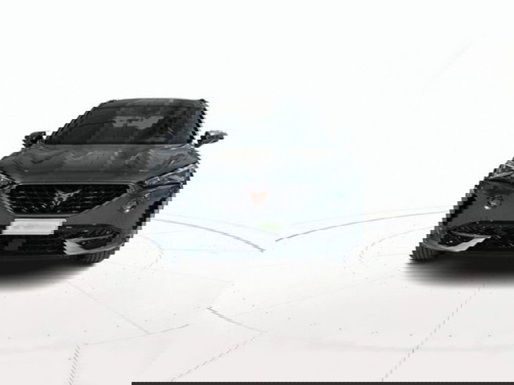 Cupra Formentor usata a Vicenza (2)