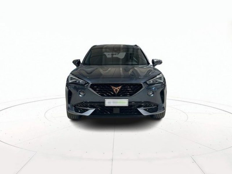 Cupra Formentor usata a Vicenza (2)