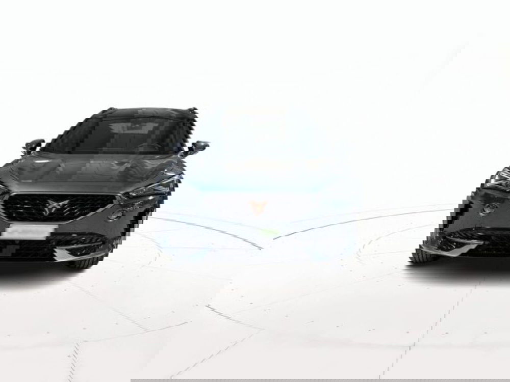 Cupra Formentor usata a Vicenza (2)