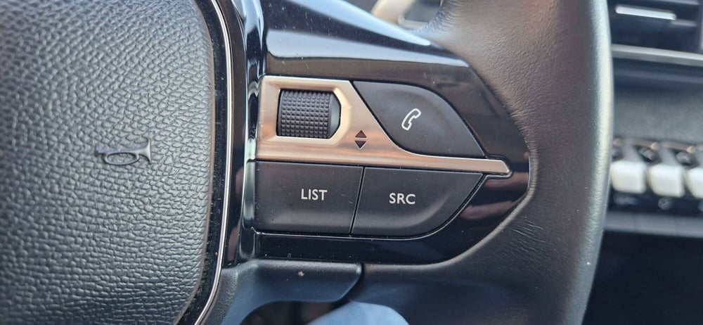 Peugeot 3008 usata a Alessandria (13)