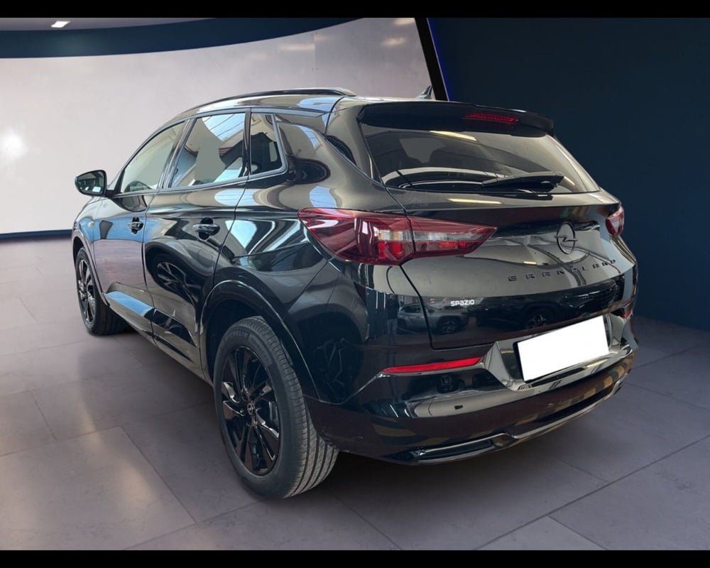 Opel Grandland usata a Torino (10)