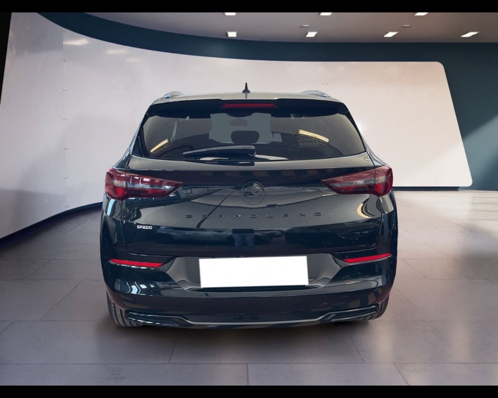 Opel Grandland usata a Torino (11)
