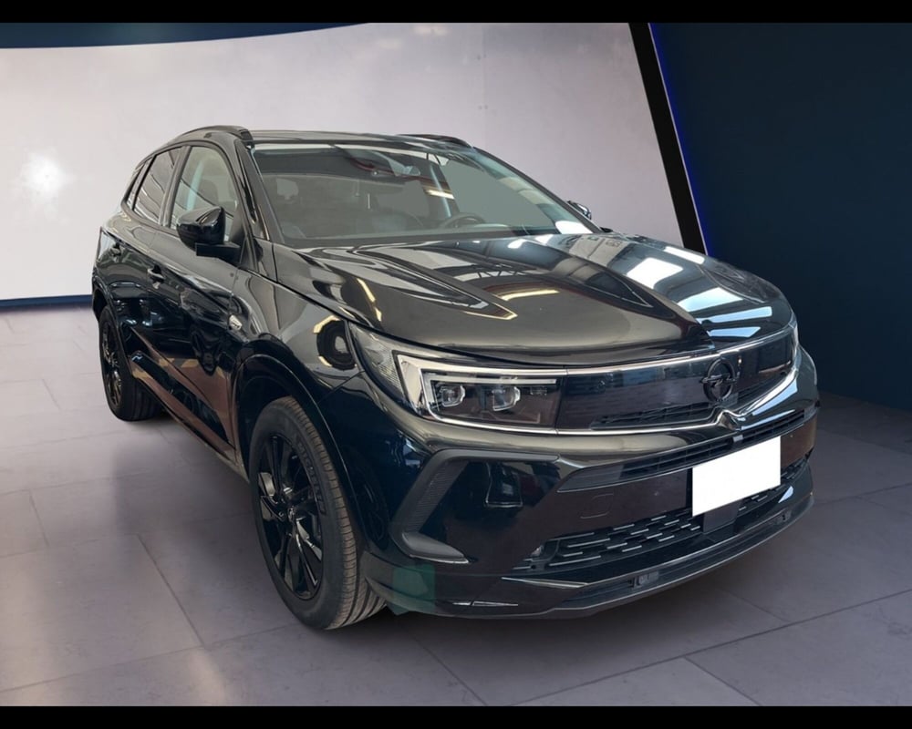 Opel Grandland usata a Torino (8)