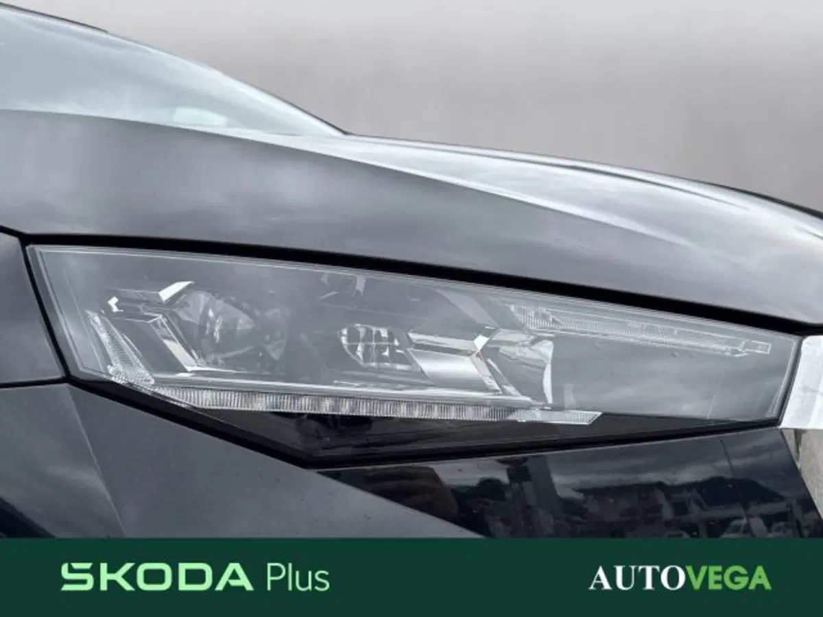 Skoda Scala nuova a Vicenza (19)