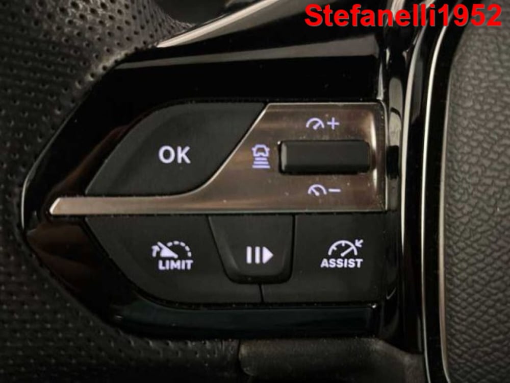 Peugeot 308 SW usata a Bologna (20)