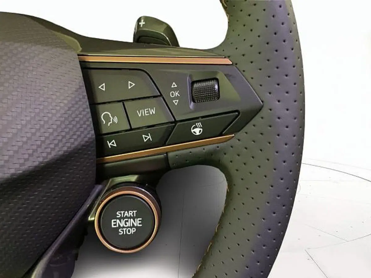 Cupra Terramar nuova a Vicenza (10)