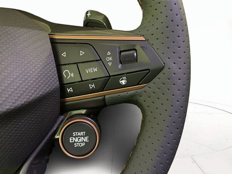 Cupra Terramar nuova a Vicenza (10)