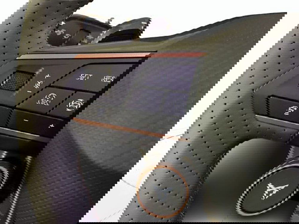 Cupra Terramar nuova a Vicenza (11)