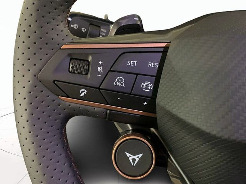 Cupra Terramar nuova a Vicenza (11)
