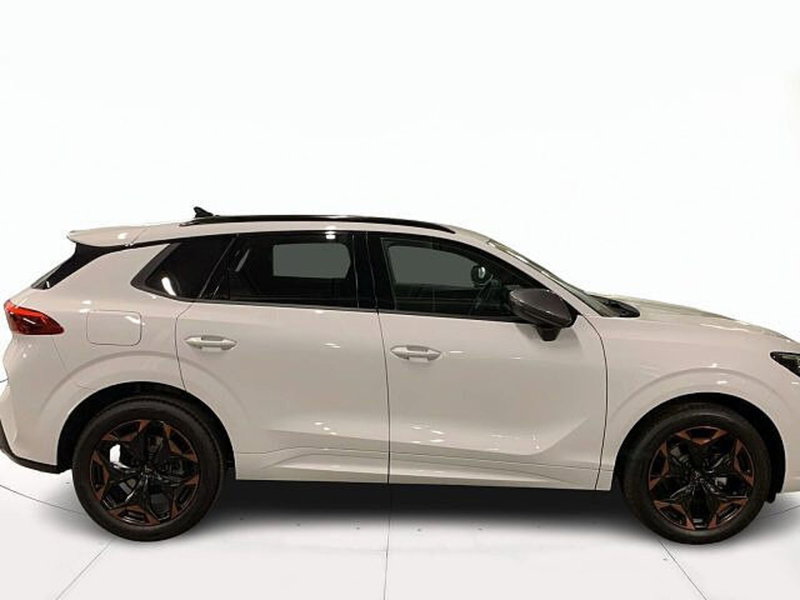 Cupra Terramar nuova a Vicenza (3)