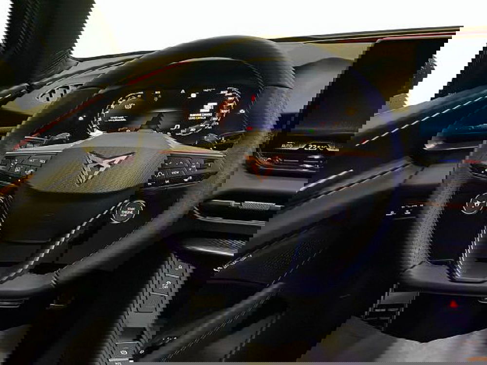 Cupra Terramar nuova a Vicenza (8)