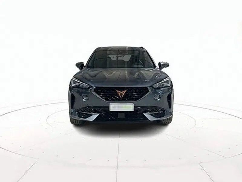 Cupra Formentor usata a Vicenza (2)