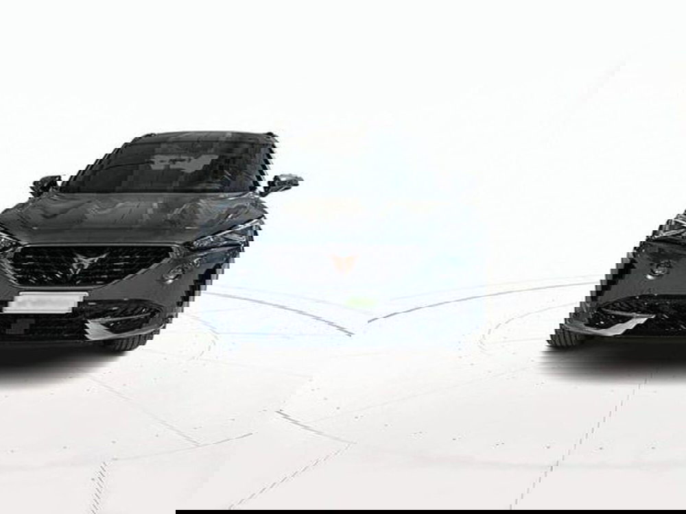 Cupra Formentor usata a Vicenza (2)