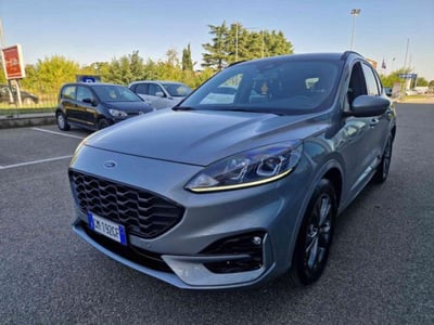 Ford Kuga 1.5 EcoBoost 150 CV 2WD ST-Line del 2023 usata a Imola