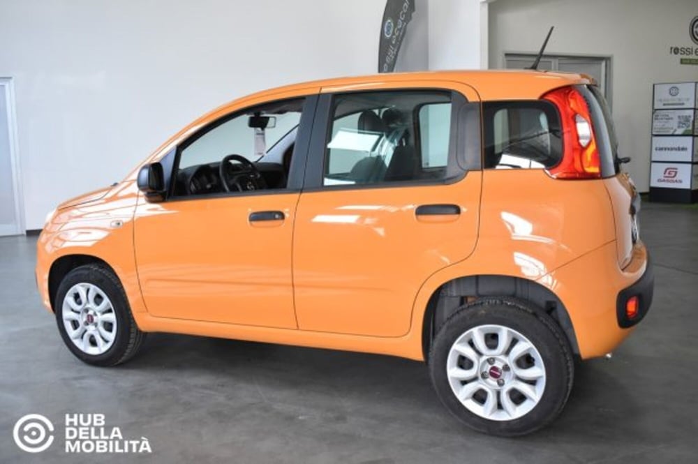 Fiat Panda usata a Perugia (4)