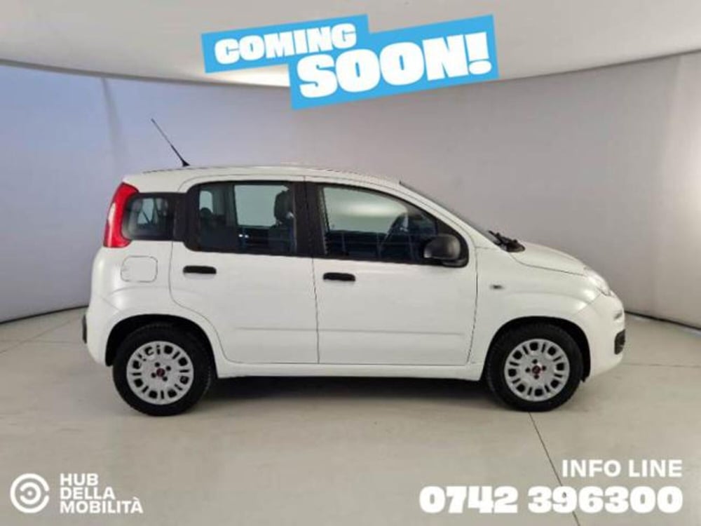 Fiat Panda usata a Perugia (3)