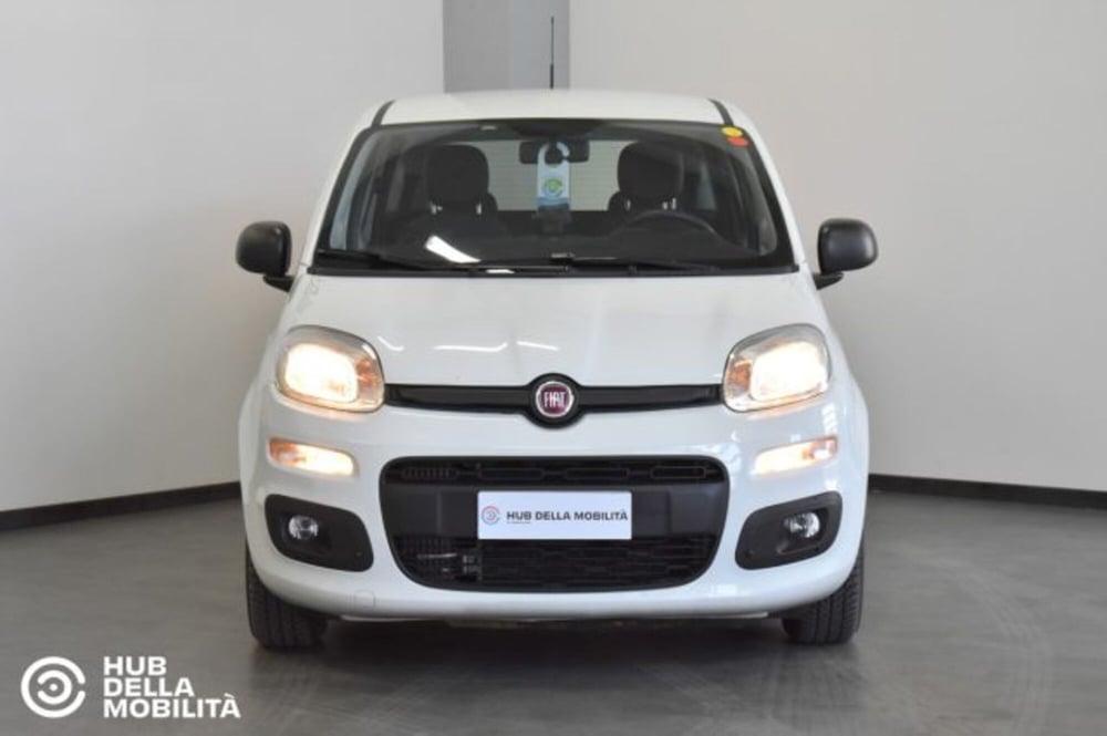 Fiat Panda usata a Perugia