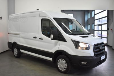 Ford Transit Furgone 290 2.0TDCi EcoBlue PM-TM Furgone Trend del 2023 usata a Foligno