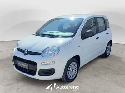 Fiat Panda Cross Cross 1.0 FireFly S&amp;S Hybrid del 2021 usata a Bari
