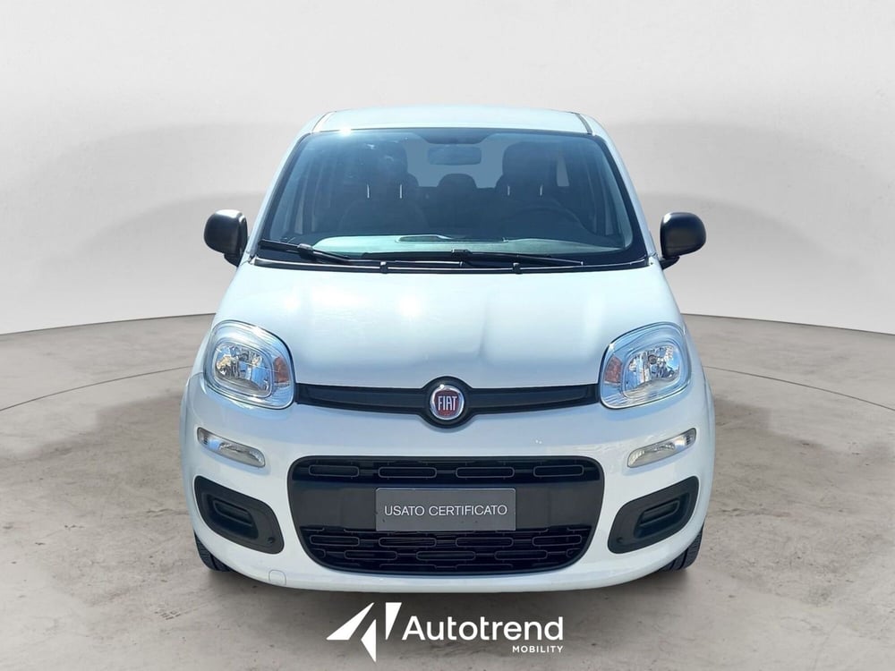 Fiat Panda Cross usata a Bari (3)