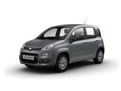 Fiat Panda Cross Cross 1.0 FireFly S&amp;S Hybrid del 2021 usata a Bari