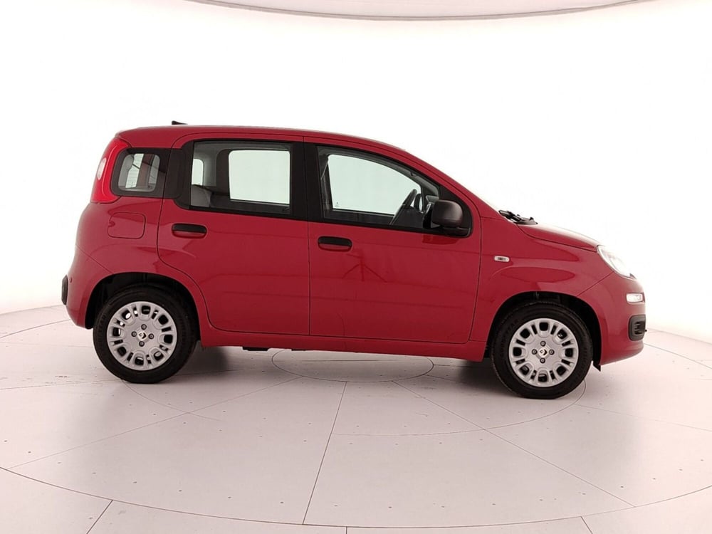 Fiat Panda Cross nuova a Caserta (7)