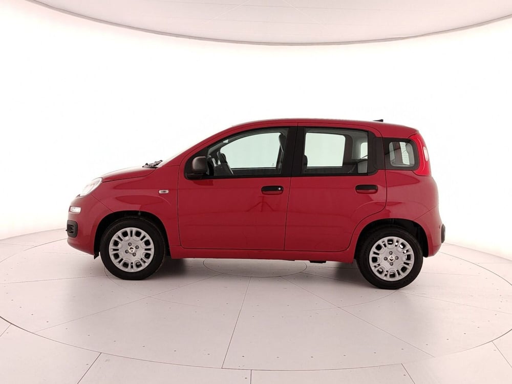 Fiat Panda Cross nuova a Caserta (8)