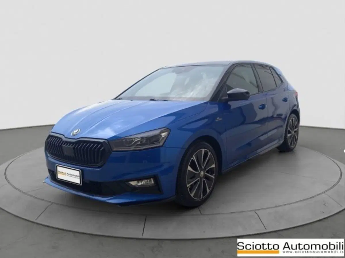 Skoda Fabia usata a Messina (2)