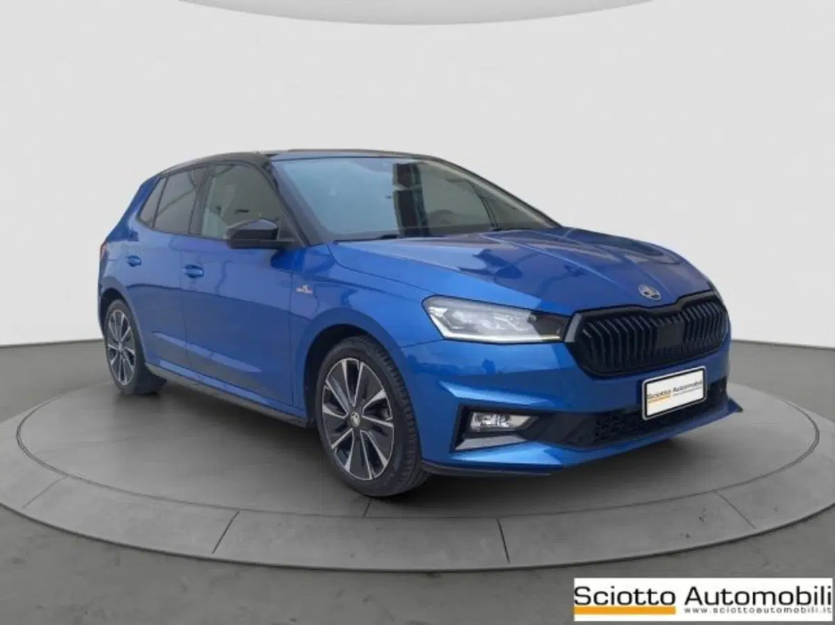 Skoda Fabia usata a Messina (8)