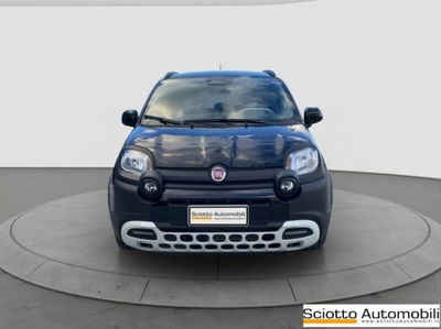 Fiat Panda 1.0 firefly hybrid s&amp;s 70cv 5p.ti del 2024 usata a Messina