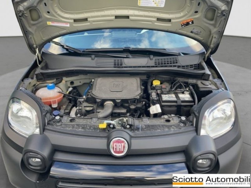 Fiat Panda usata a Messina (18)