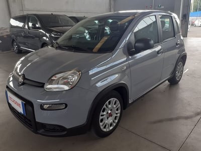 Fiat Panda 1.0 FireFly S&amp;S Hybrid City Cross del 2022 usata a Cremona