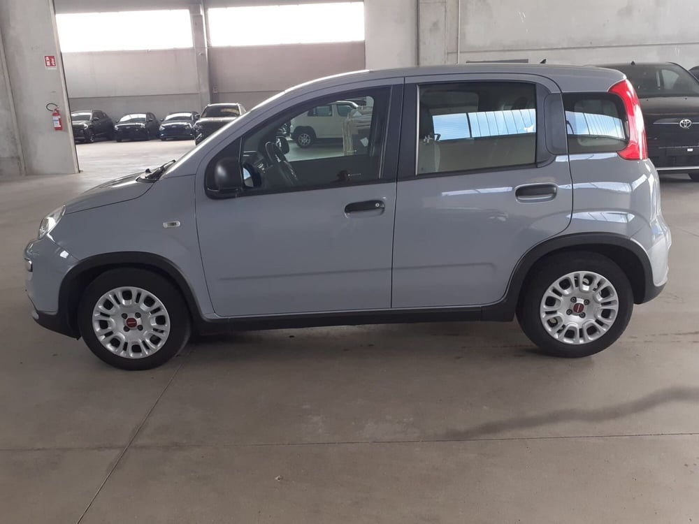 Fiat Panda usata a Cremona (10)