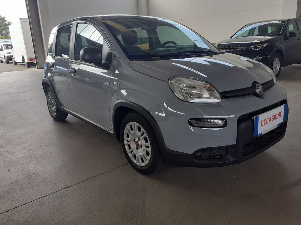 Fiat Panda usata a Cremona (2)