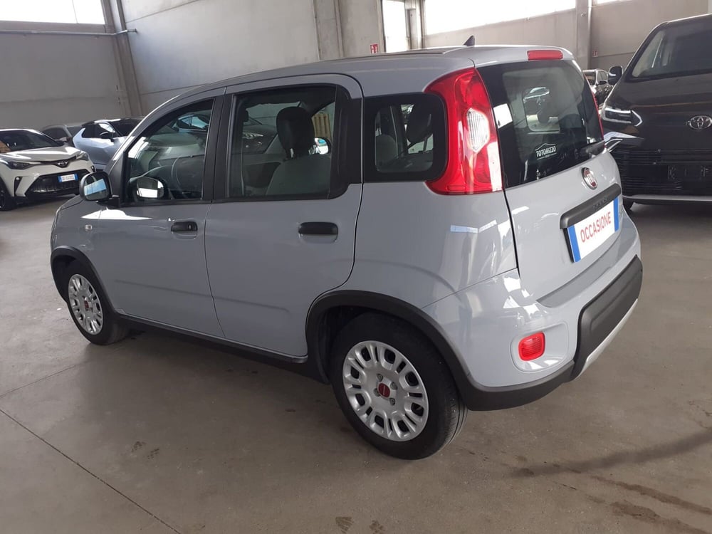 Fiat Panda usata a Cremona (6)