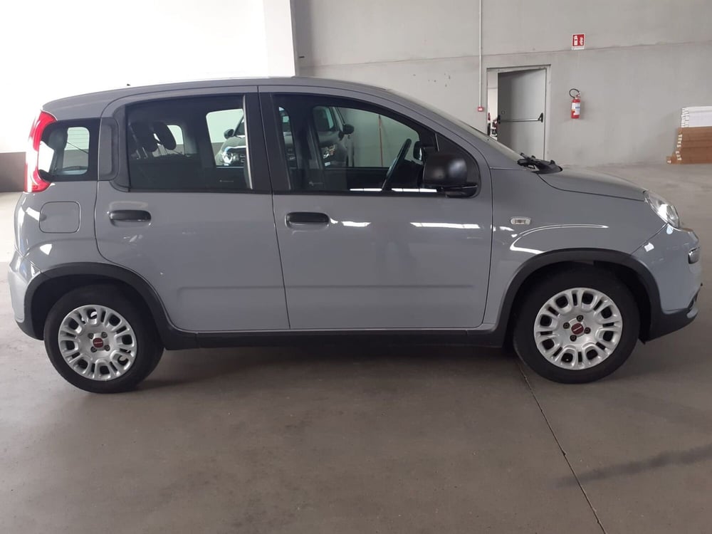 Fiat Panda usata a Cremona (8)