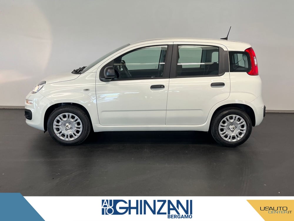 Fiat Panda Cross nuova a Bergamo (4)