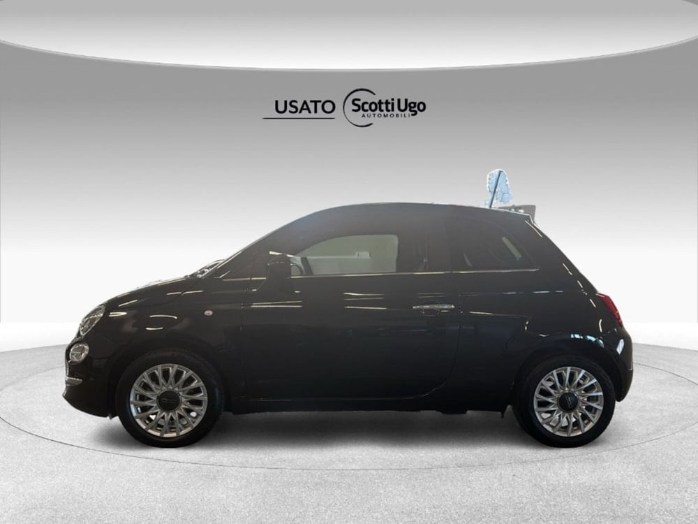 Fiat 500 usata a Siena (2)