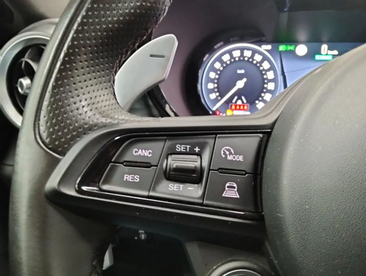 Alfa Romeo Tonale usata a Como (10)