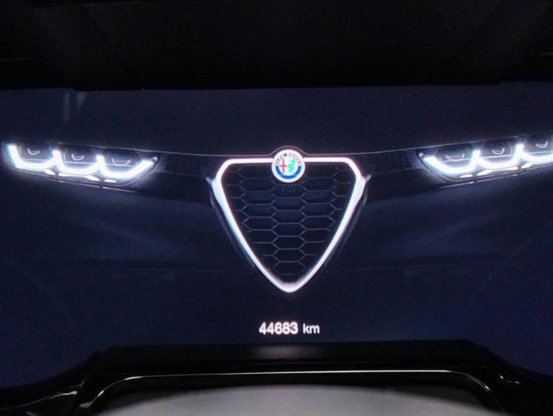 Alfa Romeo Tonale usata a Como (11)