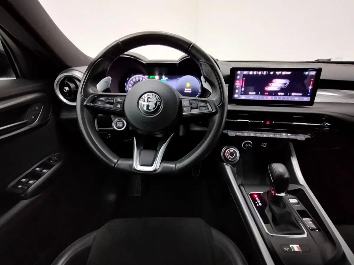Alfa Romeo Tonale usata a Como (9)