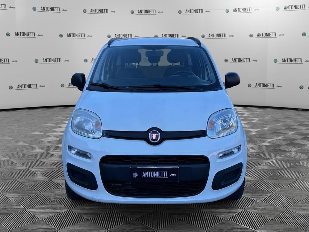Fiat Panda usata a Ancona (2)
