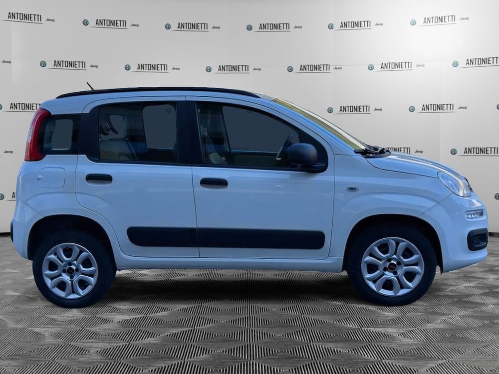 Fiat Panda usata a Ancona (4)