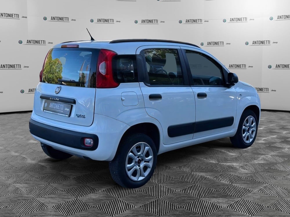 Fiat Panda usata a Ancona (5)
