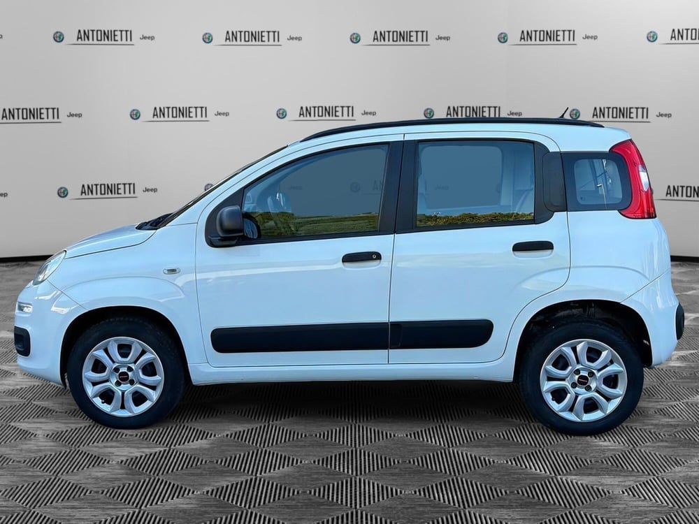 Fiat Panda usata a Ancona (8)