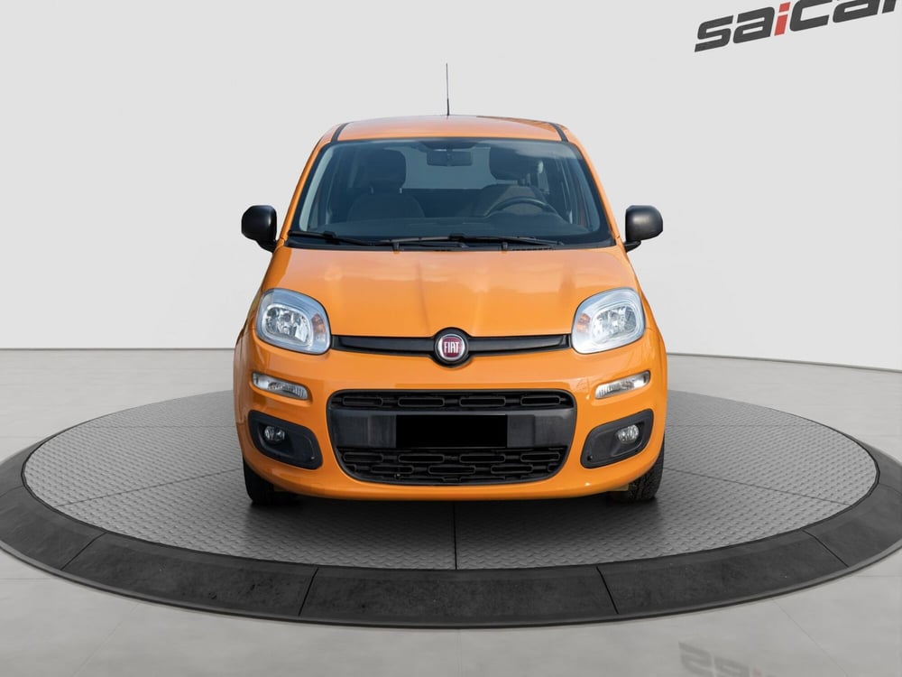 Fiat Panda usata a Torino (2)
